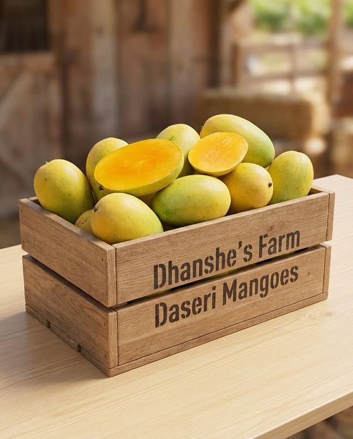 Daseri Mango (Malihabadi) Jumbo Size 240g+
