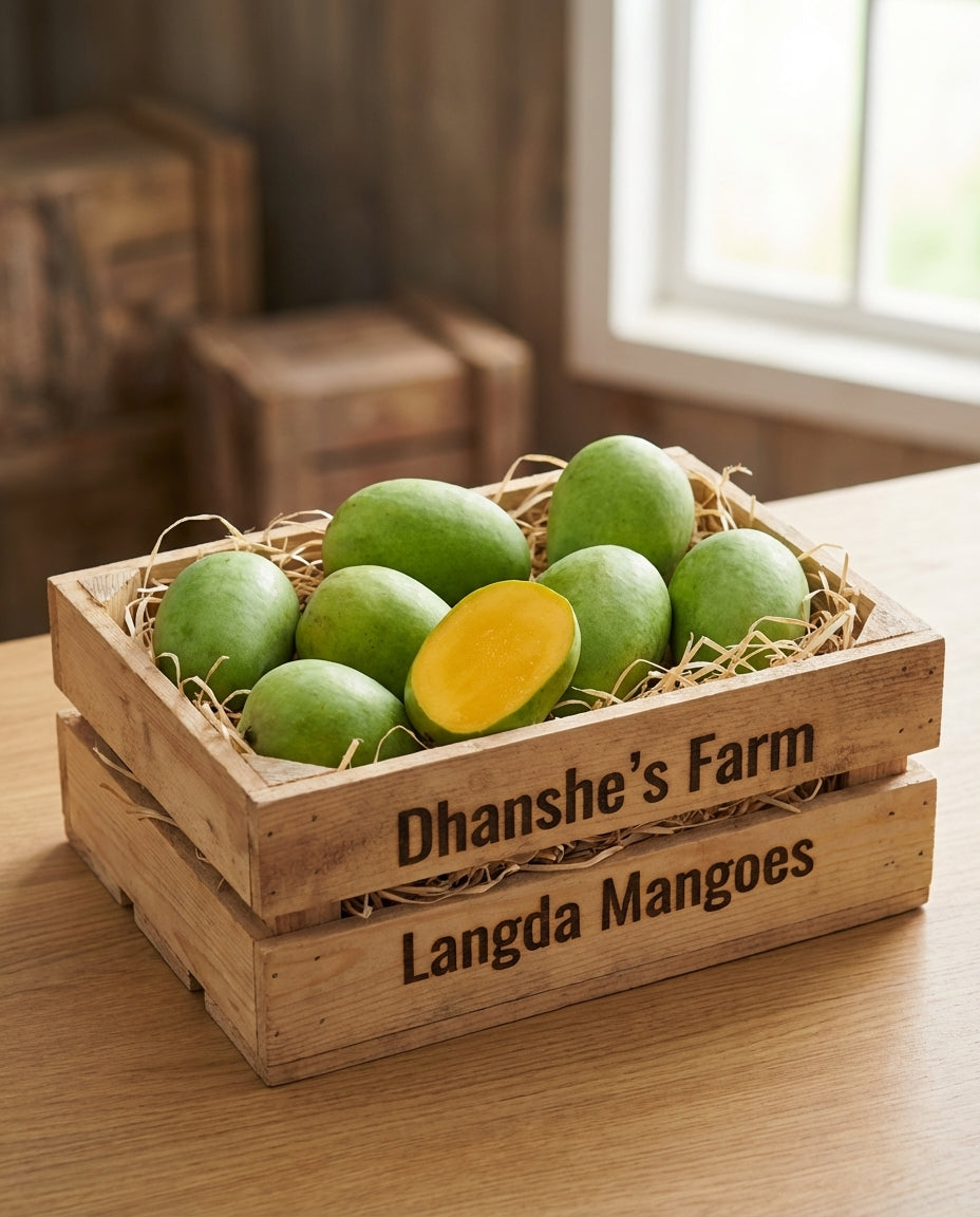Langda Mango 12 pieces Jumbo Size 240g+