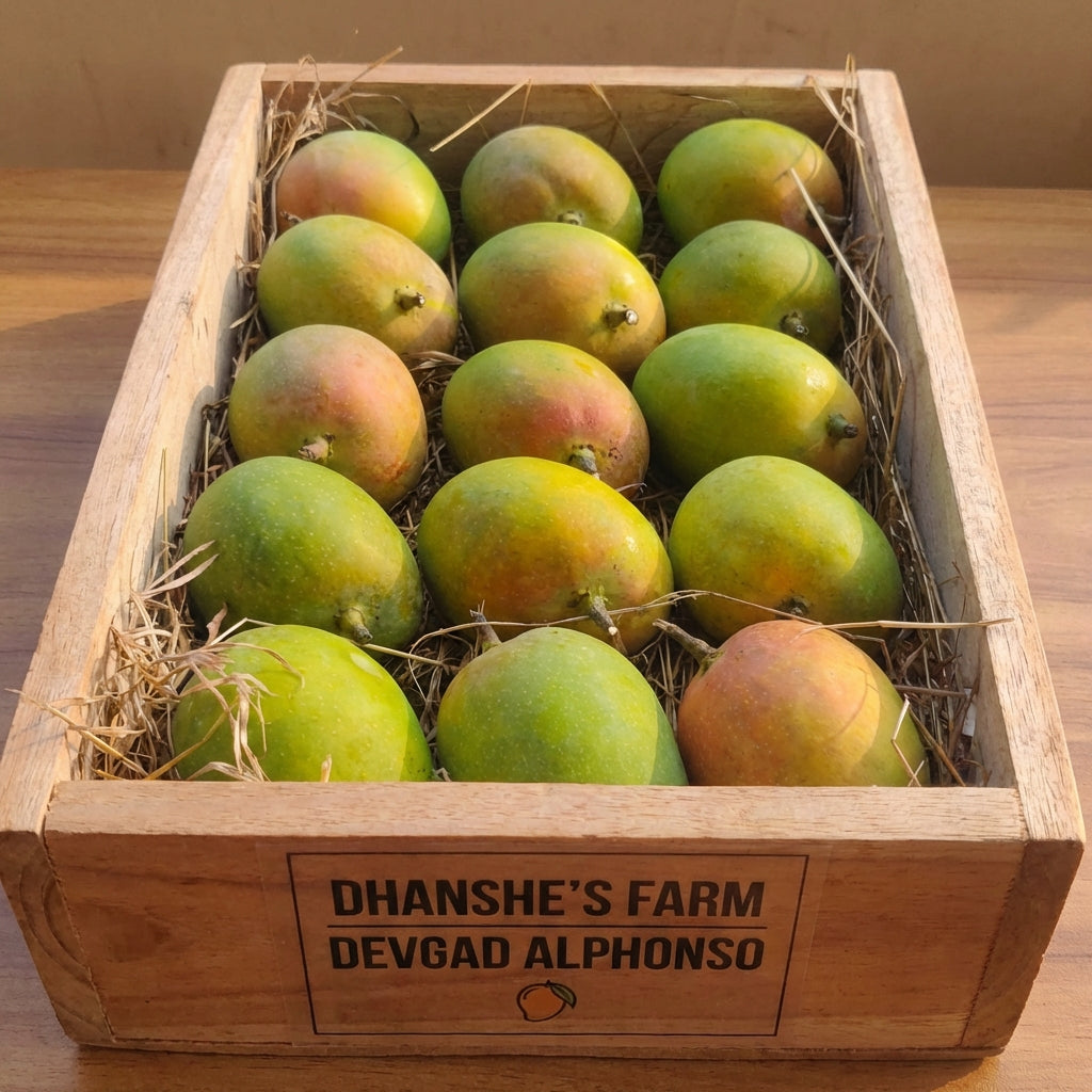 Devgad Alphonso Mango Size B 180g - 210g/Piece