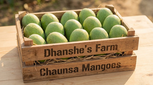 Chausa Mango 12 pieces Size A