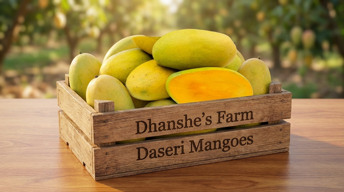 Daseri Mango (Malihabadi) Jumbo Size 240g+