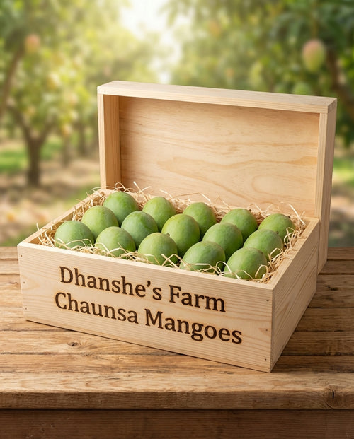 Chausa Mango Jumbo Size 240g+