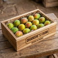 Devgad Alphonso Mango Size [B] 180g - 210g/Piece